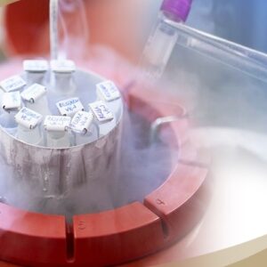 Future Freezing package price 169,000 baht