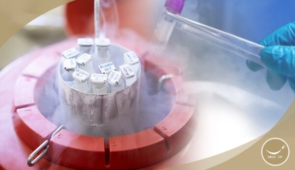 Future Freezing package price 169,000 baht