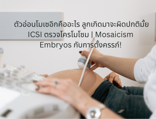 ICSI ตรวจโครโมโซม | Mosaicism Embryos