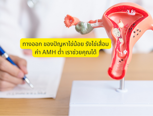 amh ต่ำ รังไข่เสื่อม