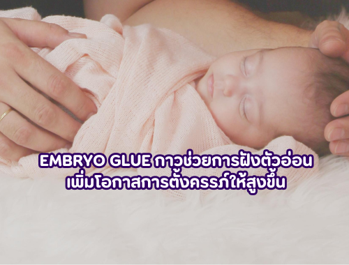 Embryo Glue