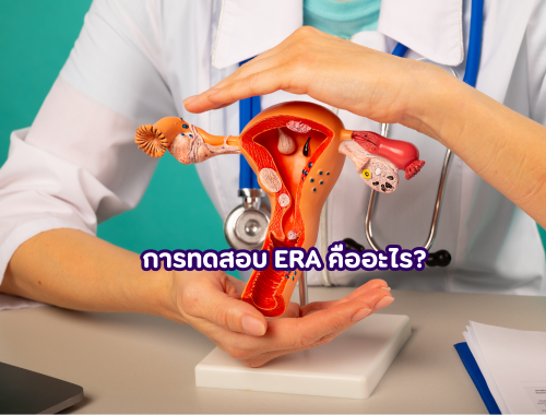 era-test-embryo-transfer/