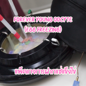 Forever Young Oocyte (Egg Freezing)