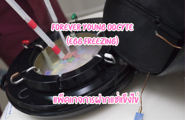 Forever Young Oocyte (Egg Freezing)